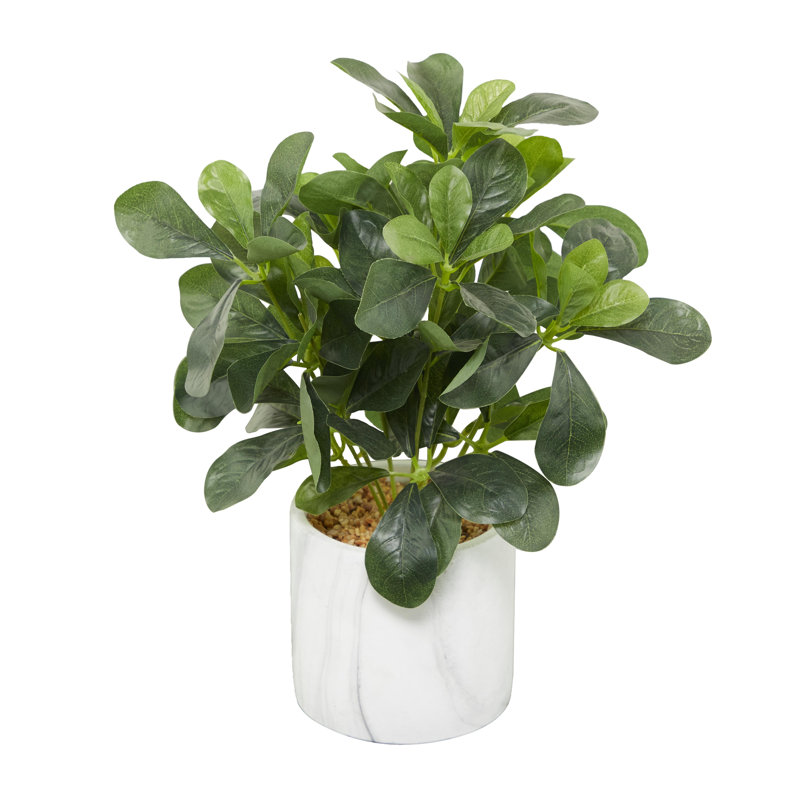Novogratz Faux Foliage Eucalyptus Indoor Outdoor Green Artificial Plant with Realistic Leaves and Marble Pot Reviews Wayfair